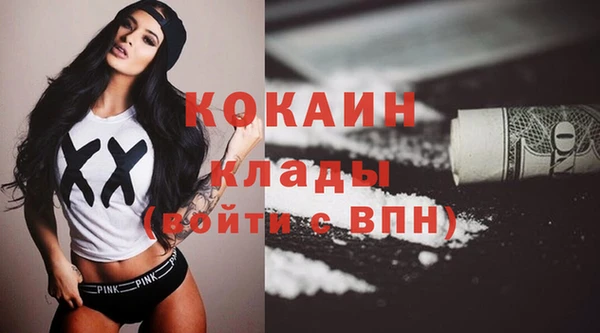 молекула духа Ельня