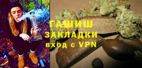молекула духа Ельня