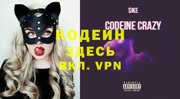 молекула духа Ельня