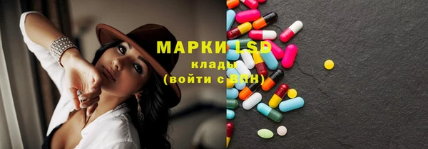 молекула духа Ельня