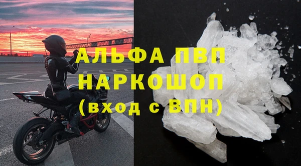 молекула духа Ельня