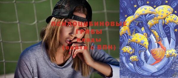 молекула духа Ельня