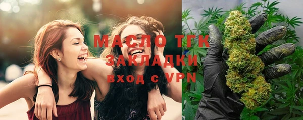 молекула духа Ельня