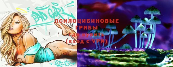 молекула духа Ельня