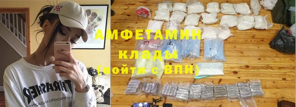 молекула духа Ельня