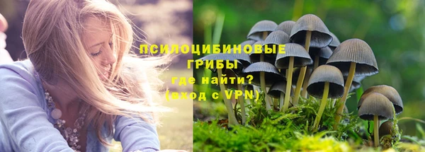 MDMA Premium VHQ Елабуга