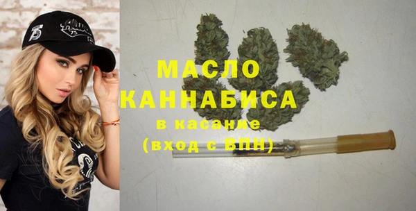 молекула духа Ельня